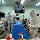 동일동물병원 이미지