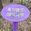 예덕식당 | 목포 신안은 하나다 런트립 여행 후기(1)