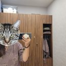조아유외과의원 네이버블로그