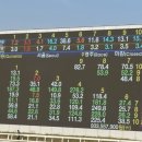 신나는 전자 드럼 교실 | 서울 근교 이색데이트 추천 과천 레츠런파크 첫 방문 도파민 제대로 느끼고 온 후기