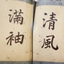 형제특장 | (경기 의정부) ‘안진경체의 대가’... 조선 서풍을 일신시킨 박태유-박태보 형제
