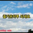 국수나무 장기점 이미지