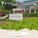 친환경사업소입구삼거리 ∼ 친환경사업소입구 | 충청도 봄꽃축제 2025 청남대 영춘제 축제 정보 +현 상황