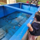 미동농장 | 청주에서 가본 헤븐온어스 장단점