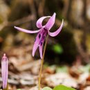 산중문답 이미지