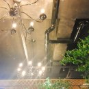 테리비어 이미지