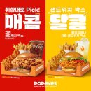 파파이스 이미지