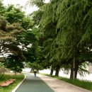 송림여관 이미지