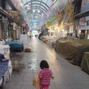 양포문어 이미지