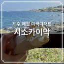 제주 카이막 애월카페 시소카이막 후기