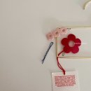 젤리그루밍 이미지