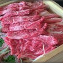 진미일식
