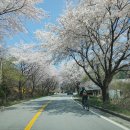 합천호회양관광단지 이미지