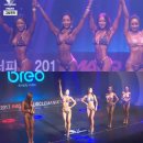 매니아스포츠