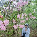 제암산자연휴양림 식당 이미지
