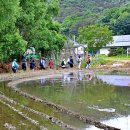 무봉산둘레길 이미지