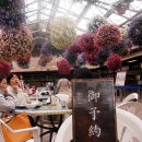 여왕의정원 이미지