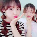 위미 이미지