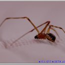 달맞이 펜션 이미지