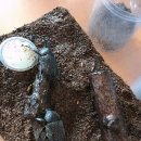 만천농장 이미지