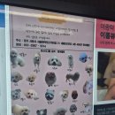 멍쉬멜로 | 배곧 덕수파스타 동탄 이찌고