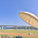 지구시민 | [남양주 가볼만한곳] 아이와 함께 주말 피크닉! 남양주 삼패지구 한강시민공원 대만족 후기 🌳✨