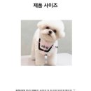 쿠름 이미지