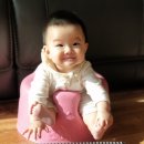 댕이맘마 이미지