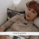 까사알렉시스 이미지