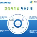 [대구/범어역] 효성캐피탈 여신사무직 채용 / 연 2800만 / 주5일제 이미지