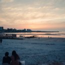 숲길농원 이미지