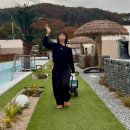 (주)팜스식자재 | [ 담양 ] 해외감성 나는 수영장 글램핑에서 보내는 힐링 하루 "하이글루⛺️"