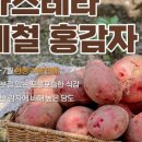 도시농장 이미지
