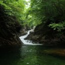 코로나로 정신없이 봄을 보내고 벌써 여름을 맞이해서 거창 모리산,오이도,시흥 바라지길,소래산으로 떠나는 한국 기행(EBS,6/8~6/12,9시30분) 이미지