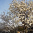 번개농장 이미지