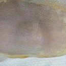 동물병원 All Pets 이미지