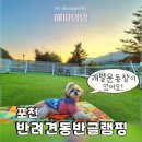 애견유치원호텔 전문가가 방문해 본 캠핑 후기 2편 서울 가까운 반려견동반 글램핑 개별 운동장 포천...