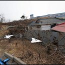 신령리신촌 이미지