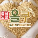 진심어린이집 | [황미밥 후기] 어린이집 원장이 전하는 진심 어린 체험기