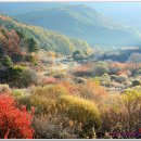 비밀정원3
