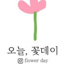 오늘, 꽃데이 이미지