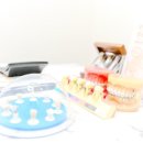 엘치과기공소 이미지