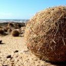 바다냥이네 이미지