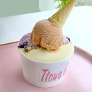 또와젤라또 | 울진 맛집_후포 또와젤라또 직접 만든 수제 젤라또 먹어본 솔직후기