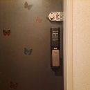 수송세영리첼 이미지