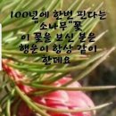 희망꽃집