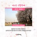 봄이 왔나 봄 이미지