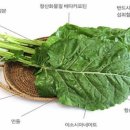 J 퍼스널 트레이닝 이미지