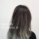 디탐헤어 성균관대역점 네이버블로그