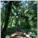 저지오름 이미지